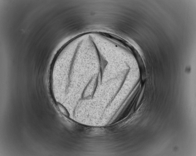 X0000099521144200806121456