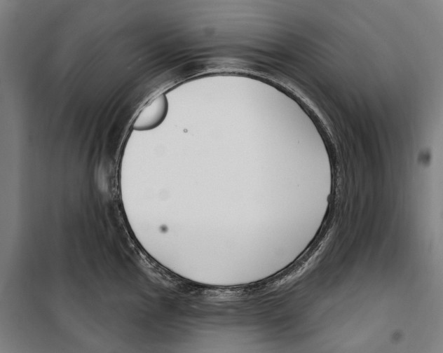 X0000099521145200806121456