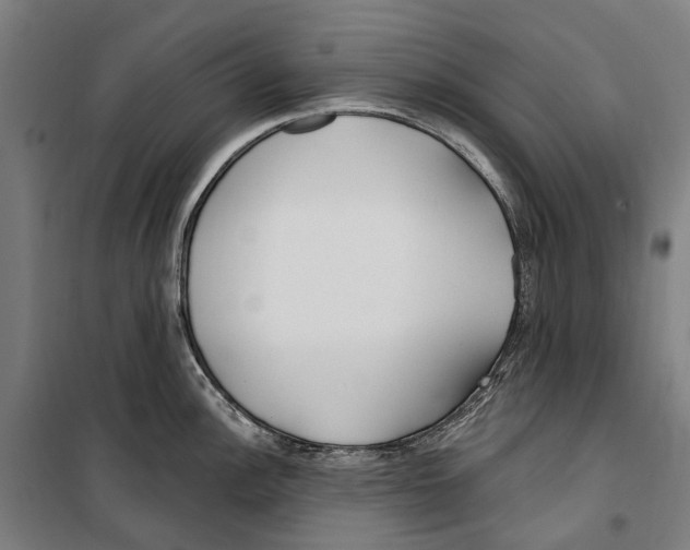 X0000099521148200806121456