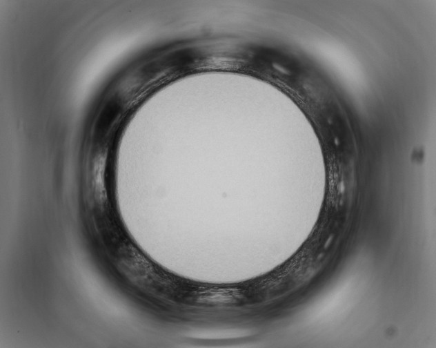 X0000099521150200806121456