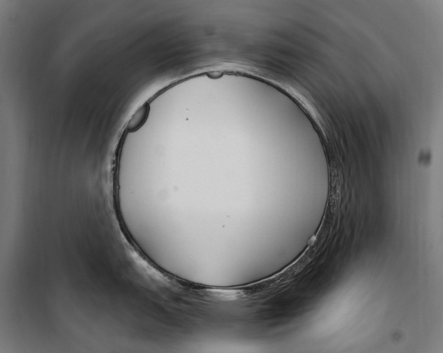 X0000099521151200806121456