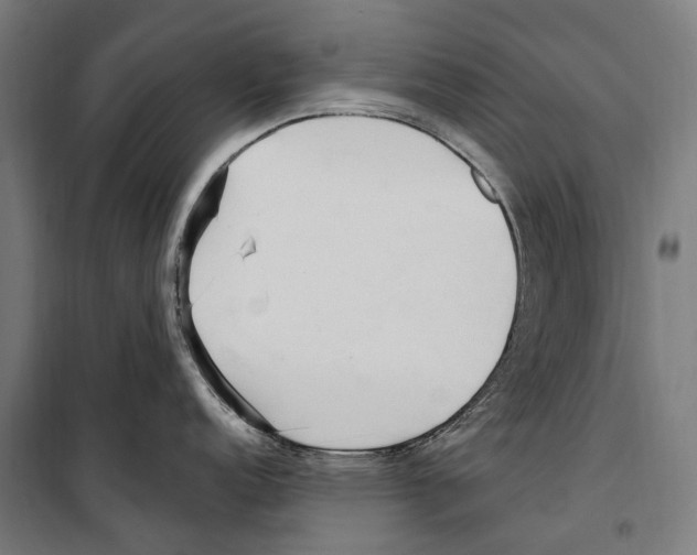 X0000099521152200806121456