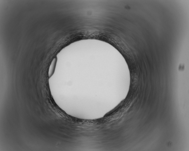 X0000099521153200806121456