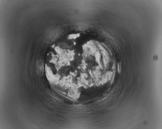 X0000099521155200806121456