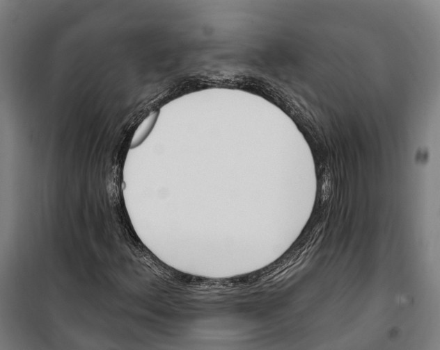 X0000099521156200806121456