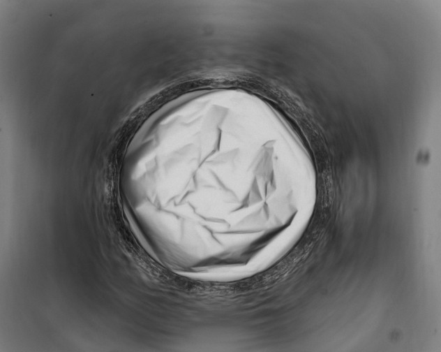 X0000099521158200806121456