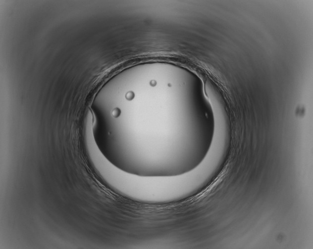 X0000099521161200806121456