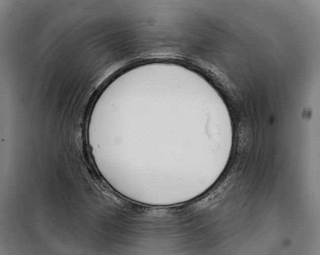 X0000099521162200806121456