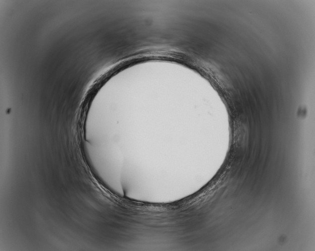 X0000099521164200806121455