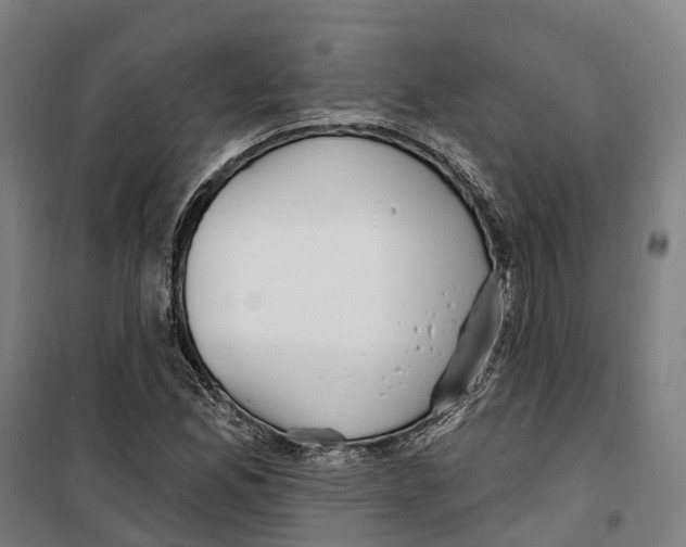 X0000099521165200806121455