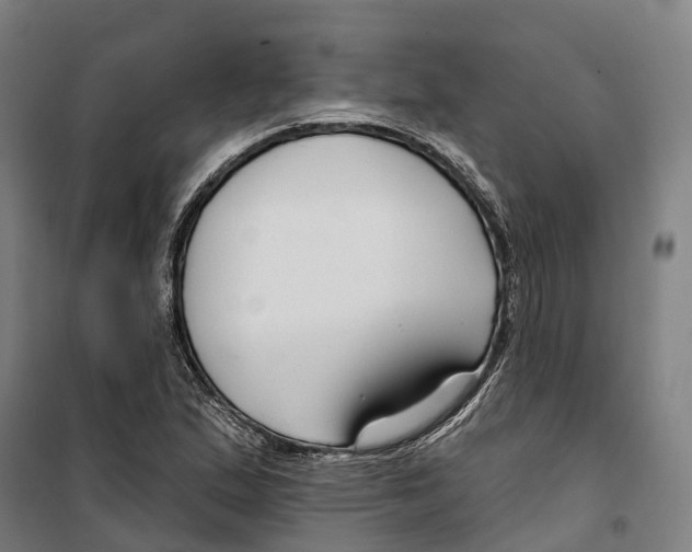 X0000099521167200806121455