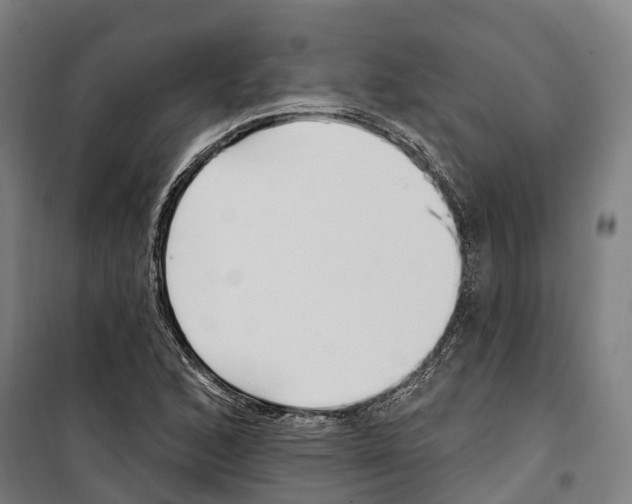 X0000099521168200806121455