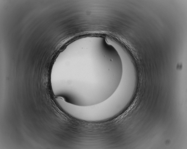 X0000099521169200806121455