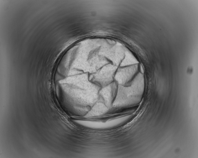 X0000099521170200806121455