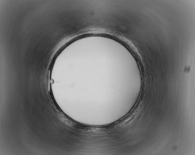 X0000099521175200806121455