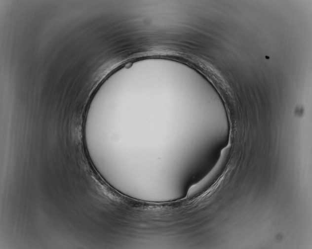 X0000099521177200806121455