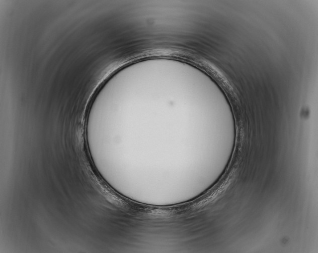 X0000099521178200806121455