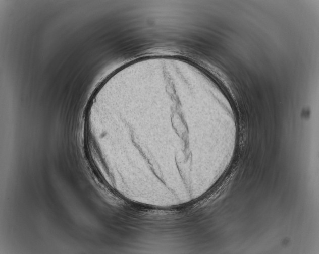 X0000099521179200806121455