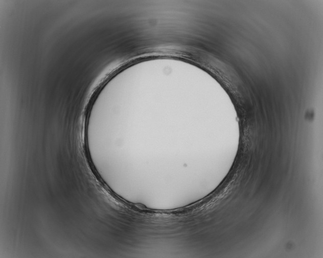 X0000099521180200806121455