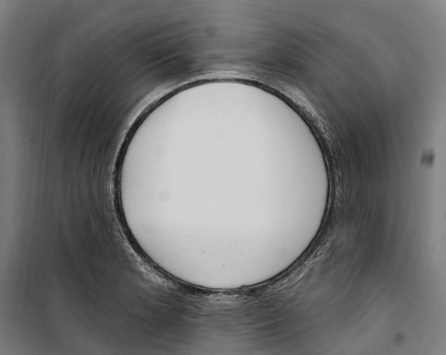 X0000099521181200806121455