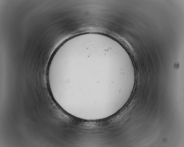 X0000099521182200806121455