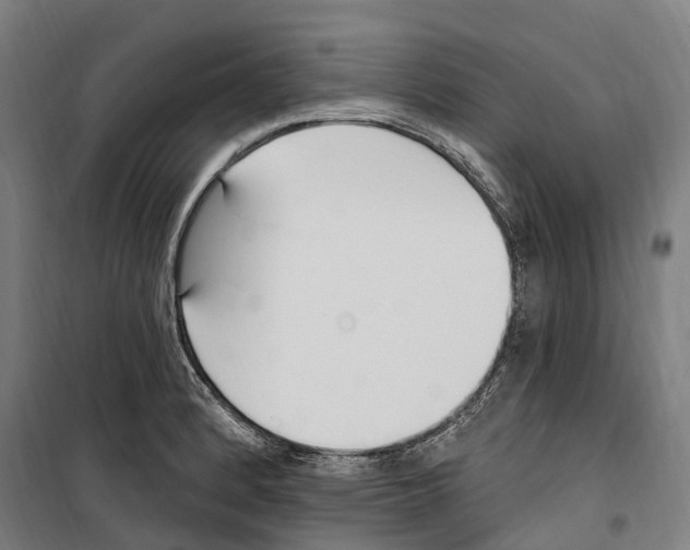 X0000099521184200806121455