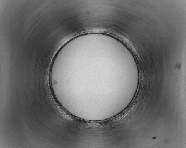 X0000099521186200806121455