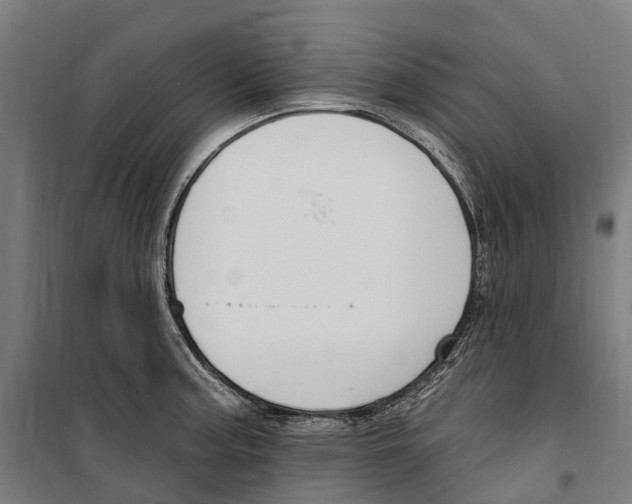 X0000099521187200806121455