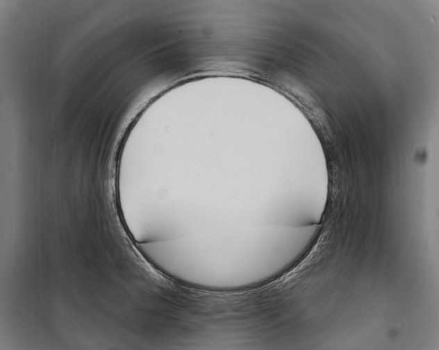 X0000099521188200806121455