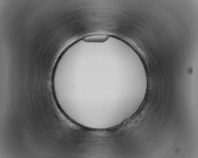 X0000099521189200806121455