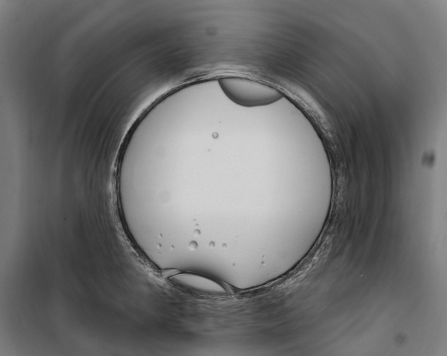 X0000099521190200806121455