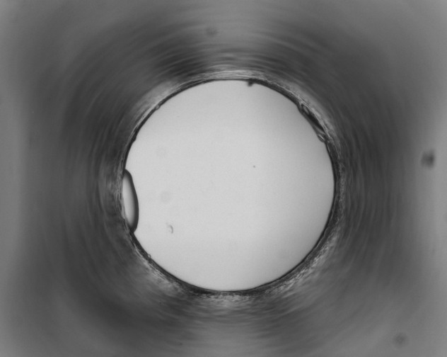 X0000099521193200806121455