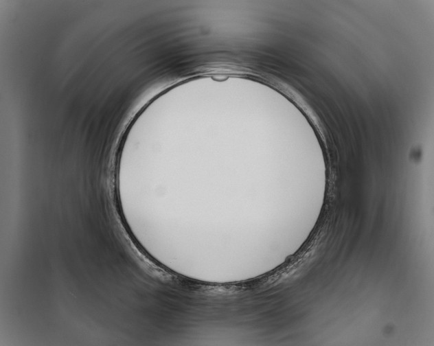 X0000099521195200806121455