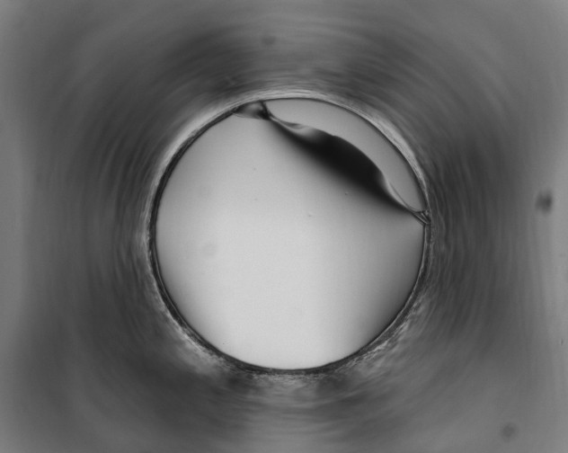 X0000099521197200806121455