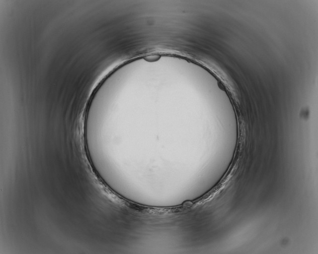 X0000099521198200806121455