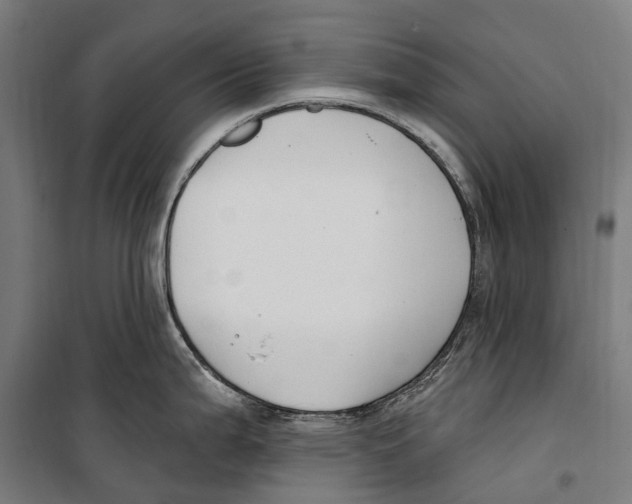 X0000099521199200806121455