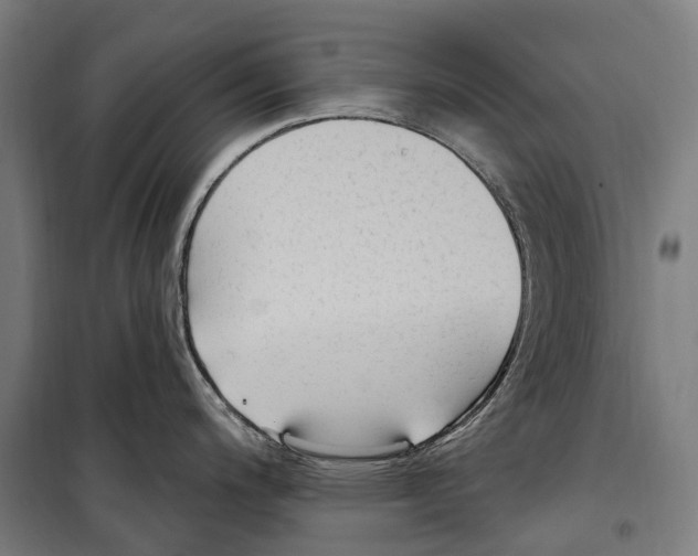 X0000099521200200806121455