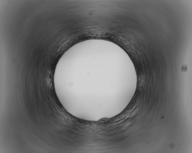 X0000099521202200806121454