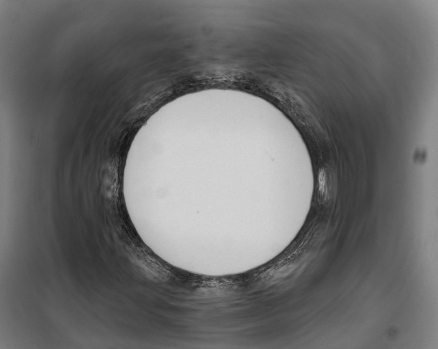 X0000099521203200806121454