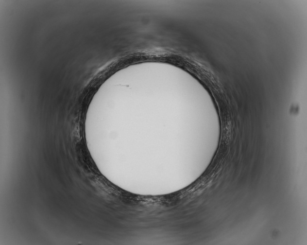 X0000099521205200806121454