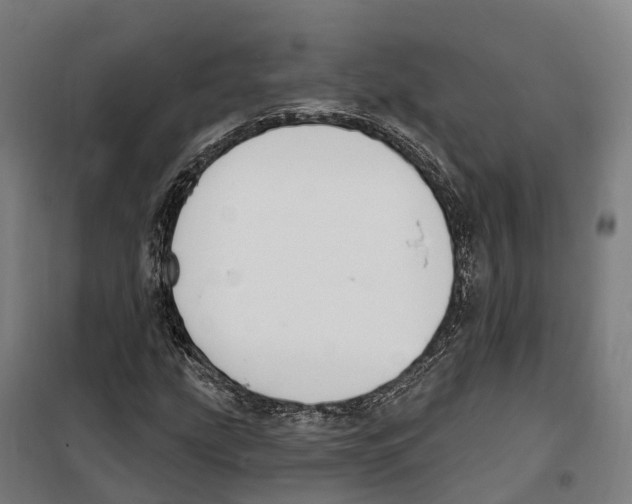 X0000099521207200806121454