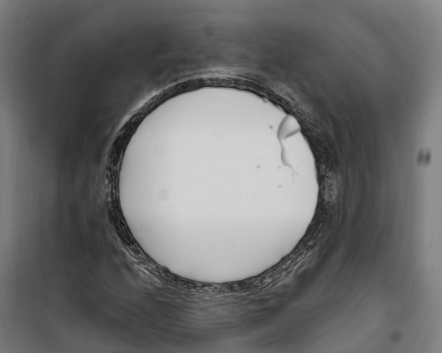 X0000099521208200806121454