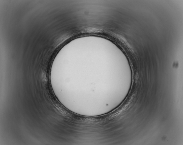 X0000099521209200806121454