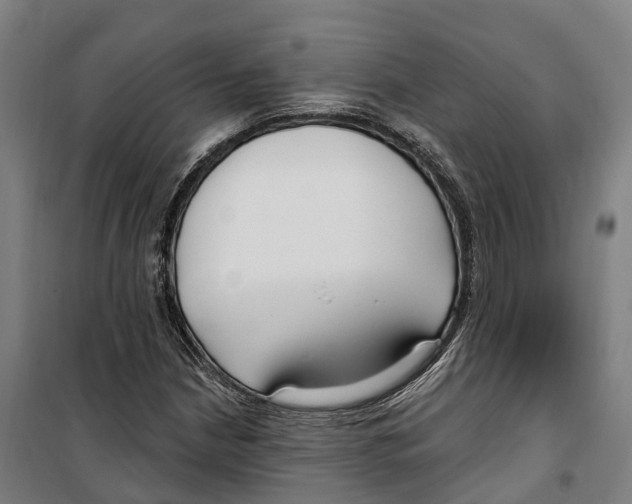 X0000099521210200806121454