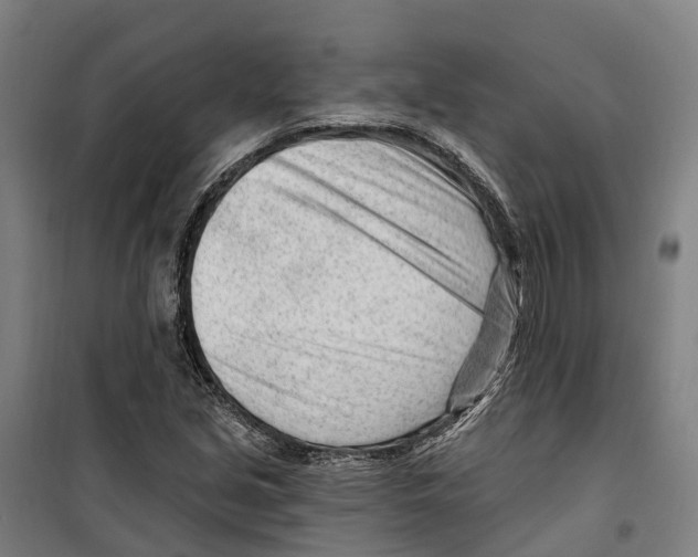 X0000099521213200806121454