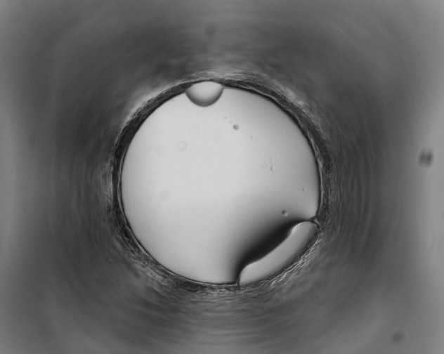 X0000099521214200806121454