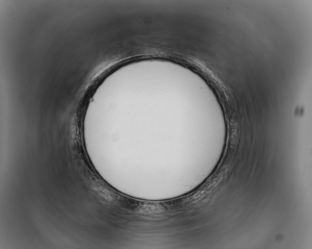 X0000099521215200806121454