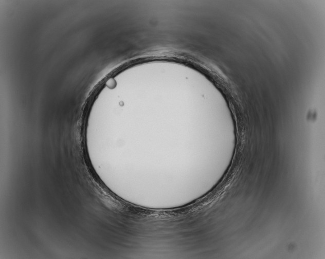 X0000099521216200806121454