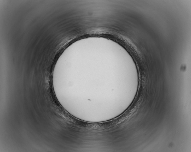 X0000099521217200806121454