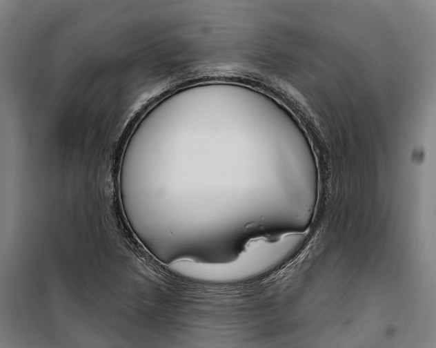 X0000099521218200806121454